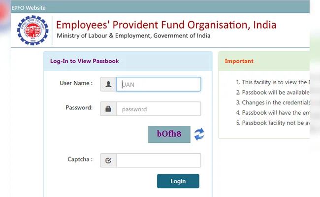 Check EPF Balance via EPFO Portal (With UAN)