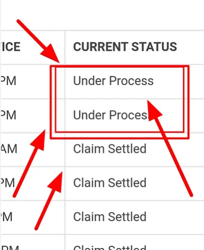 What “Under Process” Actually Means NRI